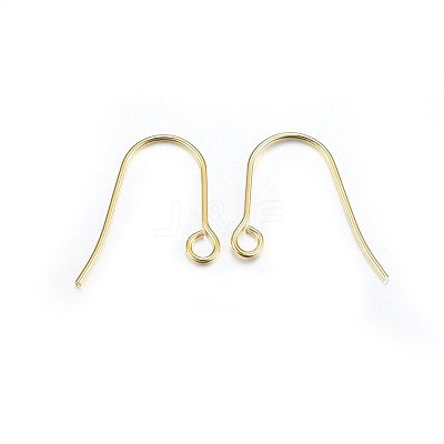 304 Stainless Steel Earring Hooks STAS-P210-21G-1