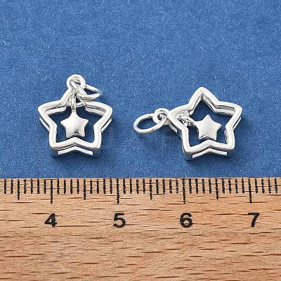 925 Sterling Silver Charms STER-D302-05C-S-1
