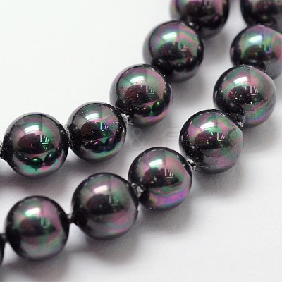 Shell Pearl Bead Strands X-BSHE-L025-05-6mm-1