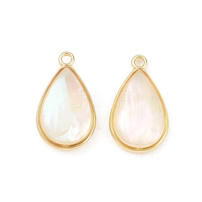 Brass Enamel Pendants KK-K252-10G-06-1