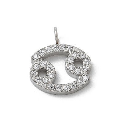 304 Stainless Steel Micro Pave Cubic Zirconia Charms STAS-Z107-09P-04-1