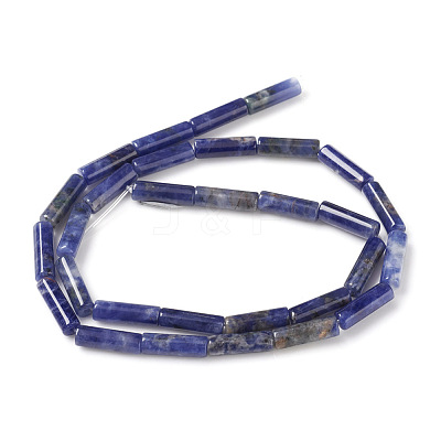 Natural Sodalite Beads Strands G-F247-30-1