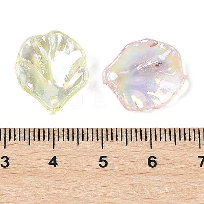 Transparent Acrylic Pendants TACR-F009-08-1