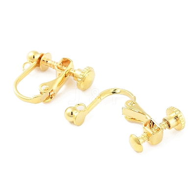 316 Stainless Steel Clip-on Earring Findings STAS-K274-09G-1
