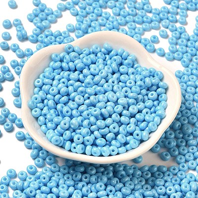 Baking Paint Glass Seed Beads SEED-B001-02A-12-1