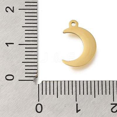 304 Stainless Steel Charms STAS-U027-10G-04-1