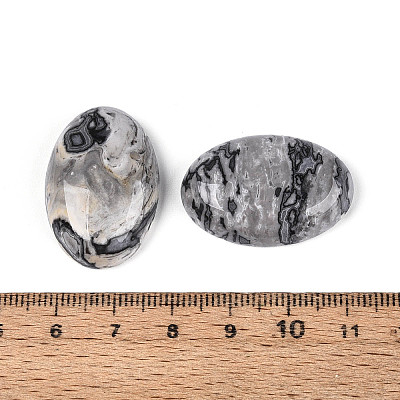Natural Map Stone Cabochons G-T144-75-1