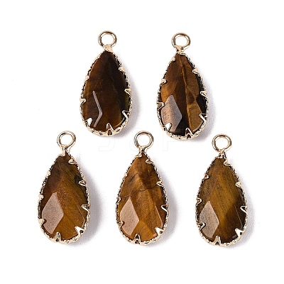 Natural Tiger Eye Faceted Pendants G-Q606-104G-06-1