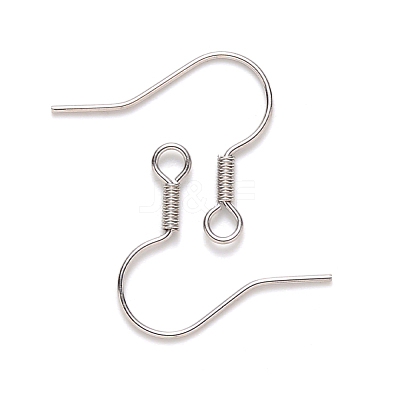Tarnish Resistant 304 Stainless Steel Earring Hooks STAS-S111-002-1