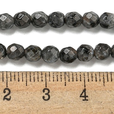 Natural Larvikite Beads Strands G-E571-A09-04-1