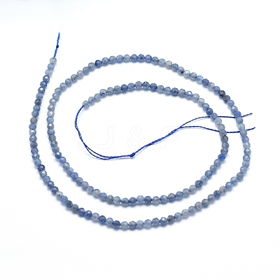 Natural Iolite/Cordierite/Dichroite Beads Strands X-G-G823-15-2.5mm-1