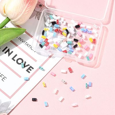 100Pcs 12 Styles 2-Hole Glass Seed Beads SEED-FS0001-43-1