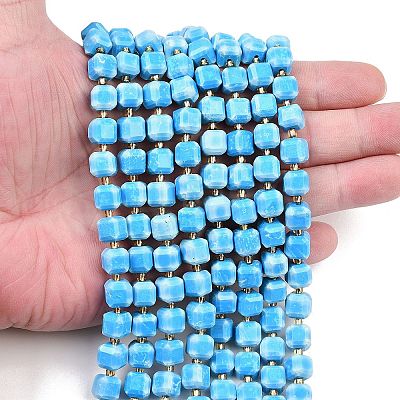 Natural Howlite Beads Strands G-C025-01B-1