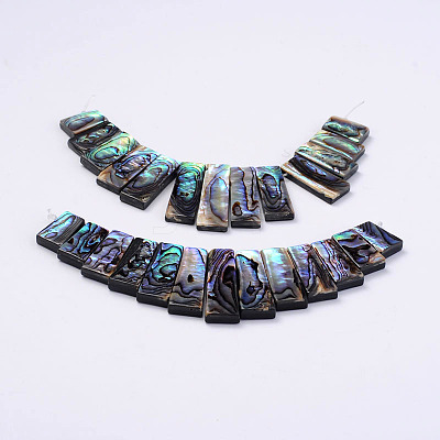 Rectangle Natural Abalone Shell/Paua ShellGraduated Beads Strands SSHEL-P002-03-1
