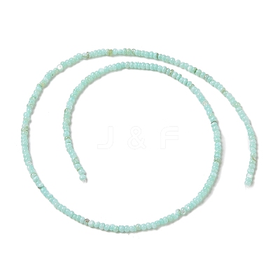 Natural Freshwater Shell Beads Strands SHEL-P017-01A-08-1