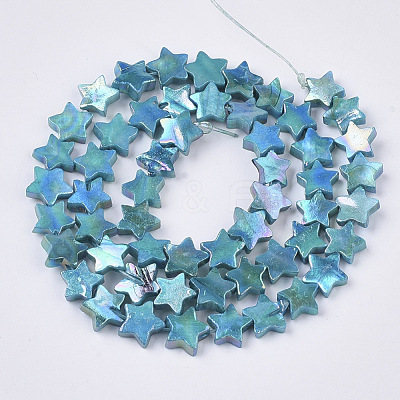 Freshwater Shell Beads Strands SHEL-N026-08F-1