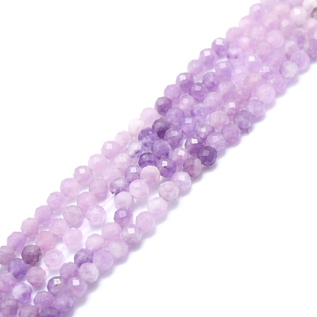 Natural Lepidolite/Purple Mica Stone Beads Strands G-P457-A02-01-1