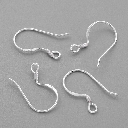 Sterling Silver Earring Hooks STER-G011-15-1