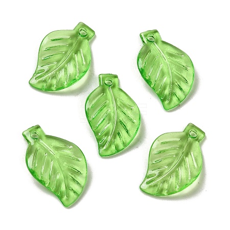 Transparent Acrylic Pendant OACR-E039-69B-1