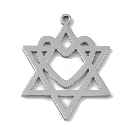 Non-Tarnish 304 Stainless Steel Pendants STAS-B062-19P-1