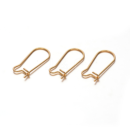 304 Stainless Steel Hoop Earrings STAS-D111-47-1