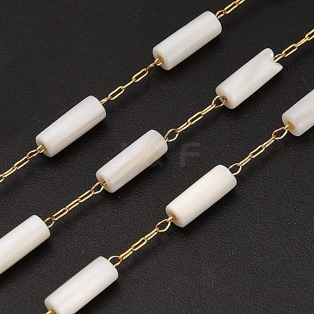 Handmade 304 Stainless Steel Shell Beads Column Link Chains CHS-B011-06G-1