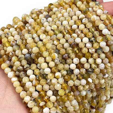 Natural Yellow Opal Beads Strands G-L597-C05-02-1