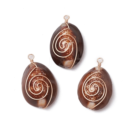 Natural Cowrie Shell Copper Wire Wrapped Pendants PALLOY-TA00201-1