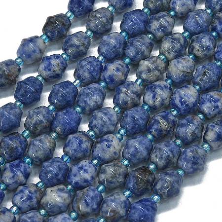 Natural Blue Spot Jasper Beads Strands G-K389-D15-01-1