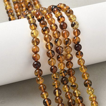 Natural Amber Beads Strands G-L095-B01-5mm-04-1