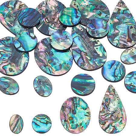 18Pcs 4 Styles Natural Paua Shell Cabochons SHEL-WR0001-10-1
