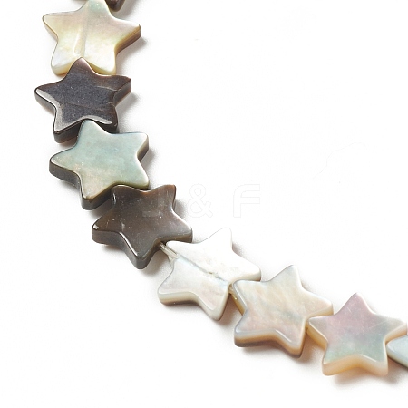 Natural Black Lip Shell Beads Strands SHEL-F004-05-1
