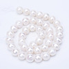 Natural Cultured Freshwater Pearl Beads Strands PEAR-R063-20-01A-2