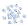 Glass Charms GLAA-G127-03A-1