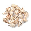 Natural Conch Shell Copper Wire Wrapped Pendants PALLOY-TA00200-1