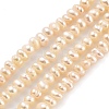 Natural Cultured Freshwater Pearl Beads Strands PEAR-C003-06D-1