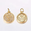 Brass Micro Pave Cubic Zirconia Charms ZIRC-G122-43G-RS-1