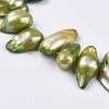 Natural Baroque Pearl Keshi Pearl Beads Strands BSHE-P026-32-13