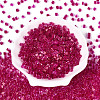 Transparent Inside Colours Glass Seed Beads SEED-T007-11C-1