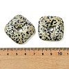 Natural Dalmatian Jasper Pendants GG-D003-B02-12-3