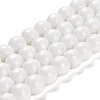 Painted Glass Bead Strands LS-DGLA-S071-12mm-01-1