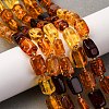 Gradient Color Natural Amber Beads Strands G-F803-D01-02-1