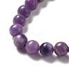 Natural Lepidolite/Purple Mica Stone Beads Strands G-B029-B03-02-3