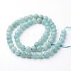Faceted Natural Amazonite Round Beads Strands G-F261-04-10mm-2