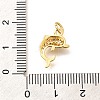 Brass Micro Pave Clear Cubic Zirconia Pendants KK-Q040-03C-G-3