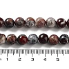 Natural Mexican Red Laguna Lace Agate Round Beads Strands G-NH0005-A31-03-5