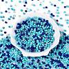 Opaque & Transparent Glass Seed Beads SEED-Q041-06E-2