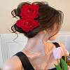 2Pcs Resin Claw Hair Clips PHAR-PH0001-39-3