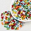 500Pcs Opaque Colours Glass Seed Beads SEED-PA0001-07-6
