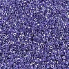 MIYUKI Delica Beads SEED-JP0008-DB0250-4
